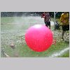 IMG_1075_t.jpg