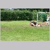 IMG_1126_t.jpg