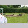 IMG_1157_t.jpg