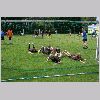 IMG_1206_t.jpg