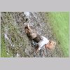 IMG_1294_t.jpg