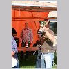 IMG_1373_t.jpg