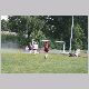 IMG_2447_t.jpg