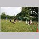 IMG_2496_t.jpg