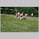 IMG_2520_t.jpg
