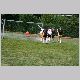 IMG_2534_t.jpg