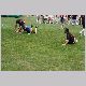 IMG_2594_t.jpg