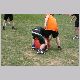IMG_2605_t.jpg