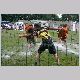 IMG_2611_t.jpg