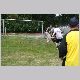 IMG_2633_t.jpg