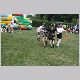 IMG_2642_t.jpg