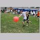 IMG_2643_t.jpg