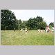 IMG_5455_t.jpg