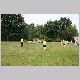 IMG_5459_t.jpg