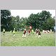 IMG_5461_t.jpg