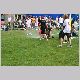 IMG_5529_t.jpg