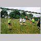 IMG_5572_t.jpg