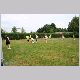 IMG_5595_t.jpg