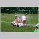 IMG_5606_t.jpg