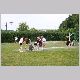 IMG_5629_t.jpg