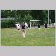 IMG_5687_t.jpg