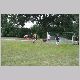 IMG_5719_t.jpg