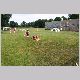 IMG_5807_t.jpg