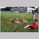 IMG_5810_t.jpg