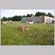 IMG_5825_t.jpg