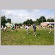 IMG_5904_t.jpg