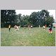 IMG_5940_t.jpg